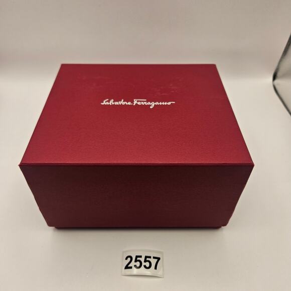 SALVATORE FERRAGAMO SFHQ00620 ORA LADIES WATCH SAPPHIRE QUARTZ NIB main image 11